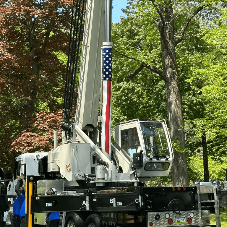 Tree pruning for hurricane preparedness in Pensacola