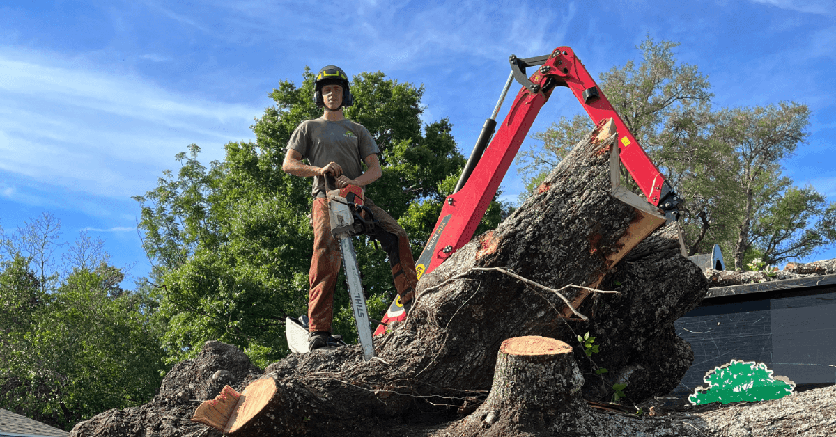 ISA-certified arborist performing tree removal in Milton, FL using safety gear and Aerial Lift