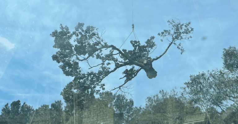 Tree service in Navarre FL removing storm-damaged tree using safe crane equipment and ground mats