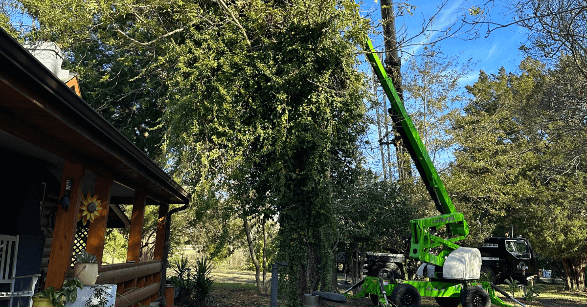 Emergency tree service removing storm damaged tree near home