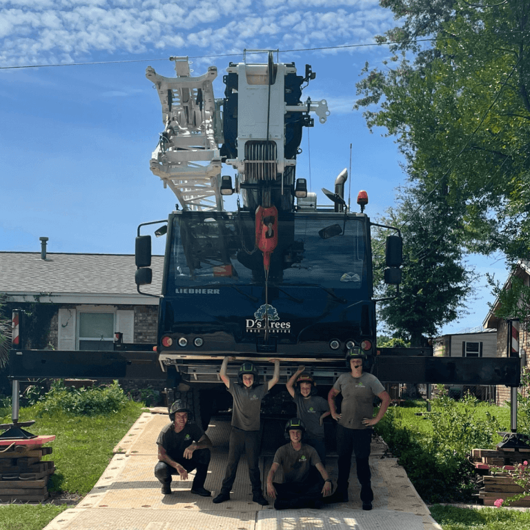 Family-owned tree service company serving Pace and Pensacola