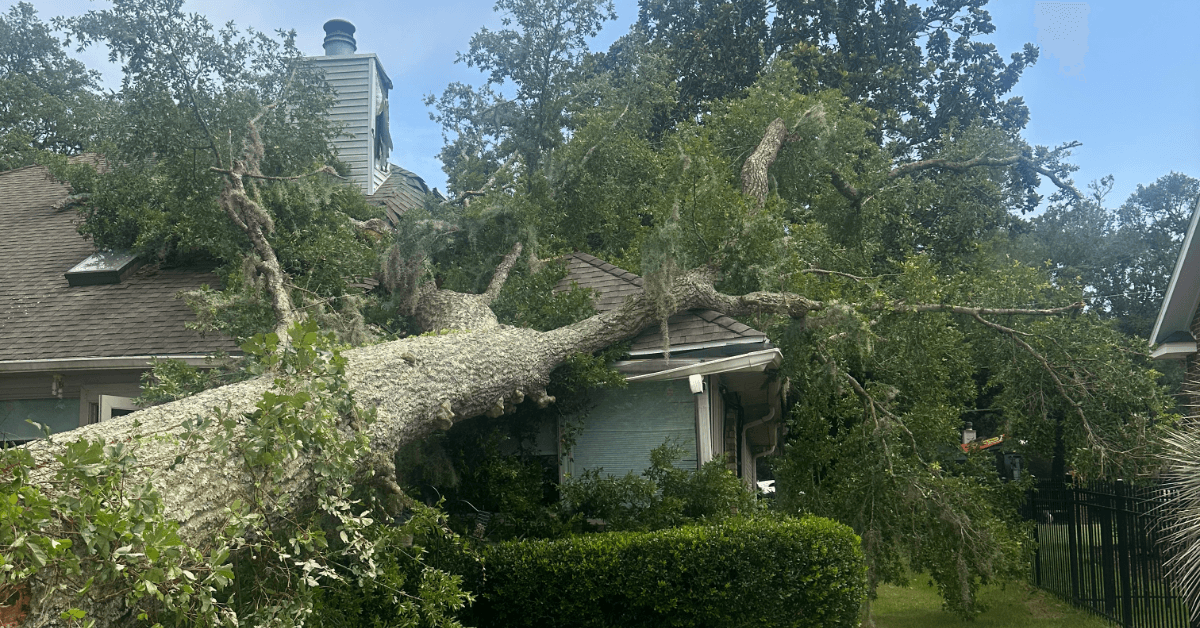 24/7 Emergency Tree Service