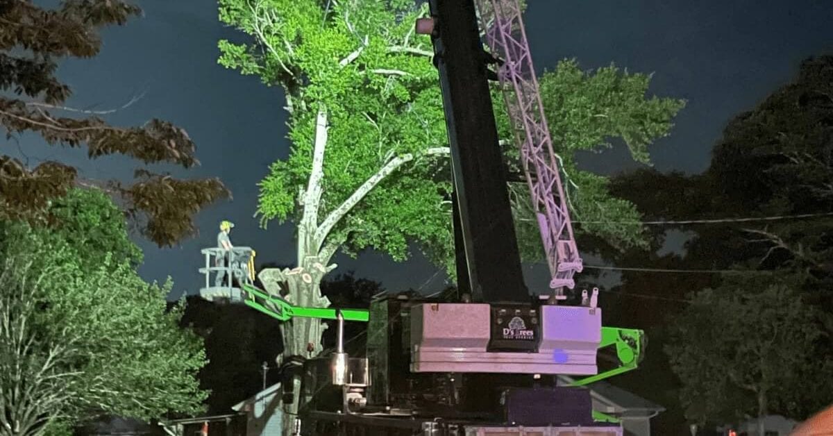 Emergency Tree Removal Pace, FL – 24/7 Service for Storm-Damaged Trees