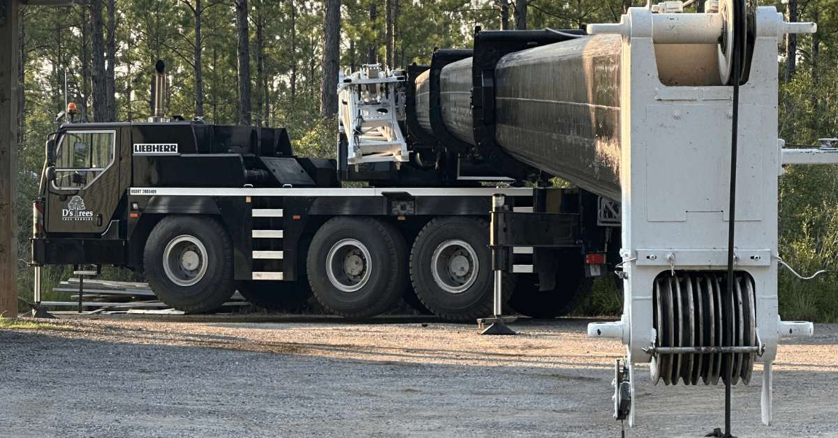 Crane Service