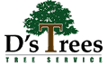 D's Trees Logo