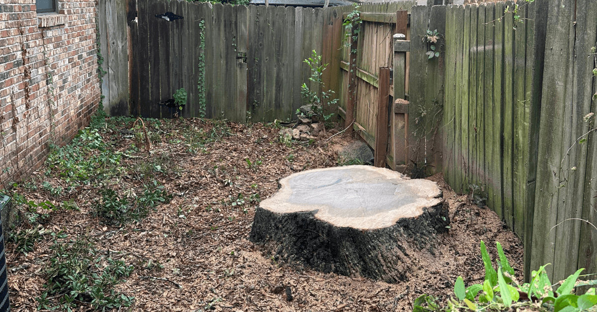 Stump Removal Grinding