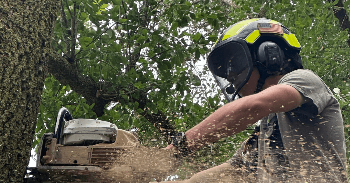 Tree Removal
