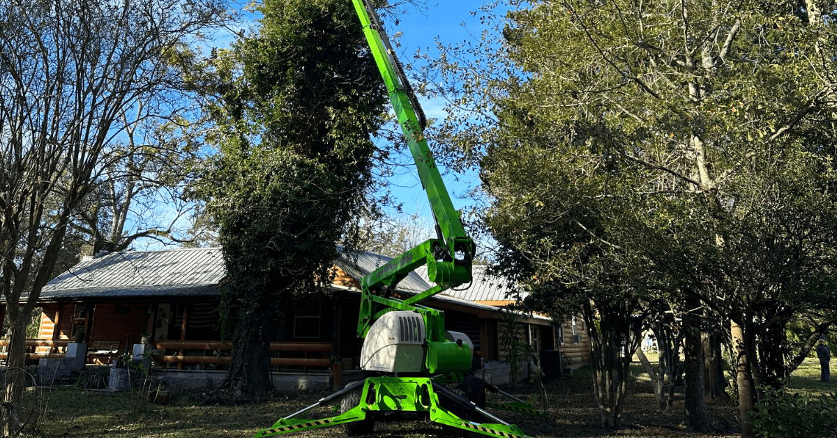 Tree Trimming Pruning