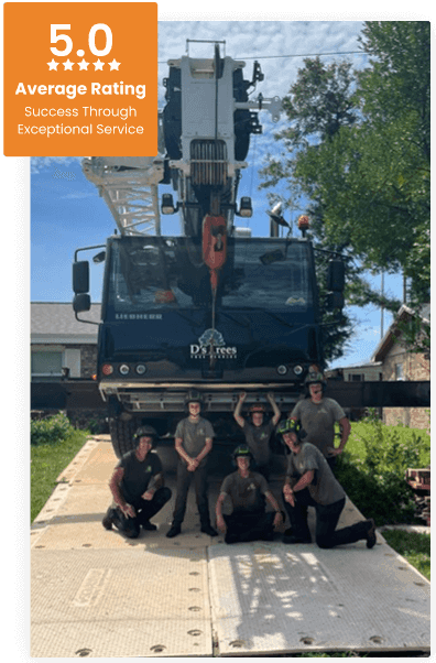 Commercial Tree Service