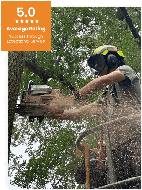 Commercial Tree Service