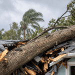A storm-damaged tree fell on a Florida home after severe weather