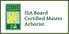 ISA Board