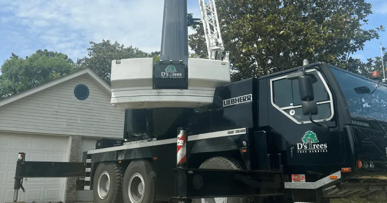 crane tree service Gulf Breeze FL