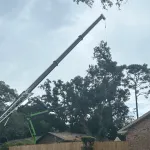 Arborist from D’s Trees removing large tree limbs safely in Pensacola, Florida