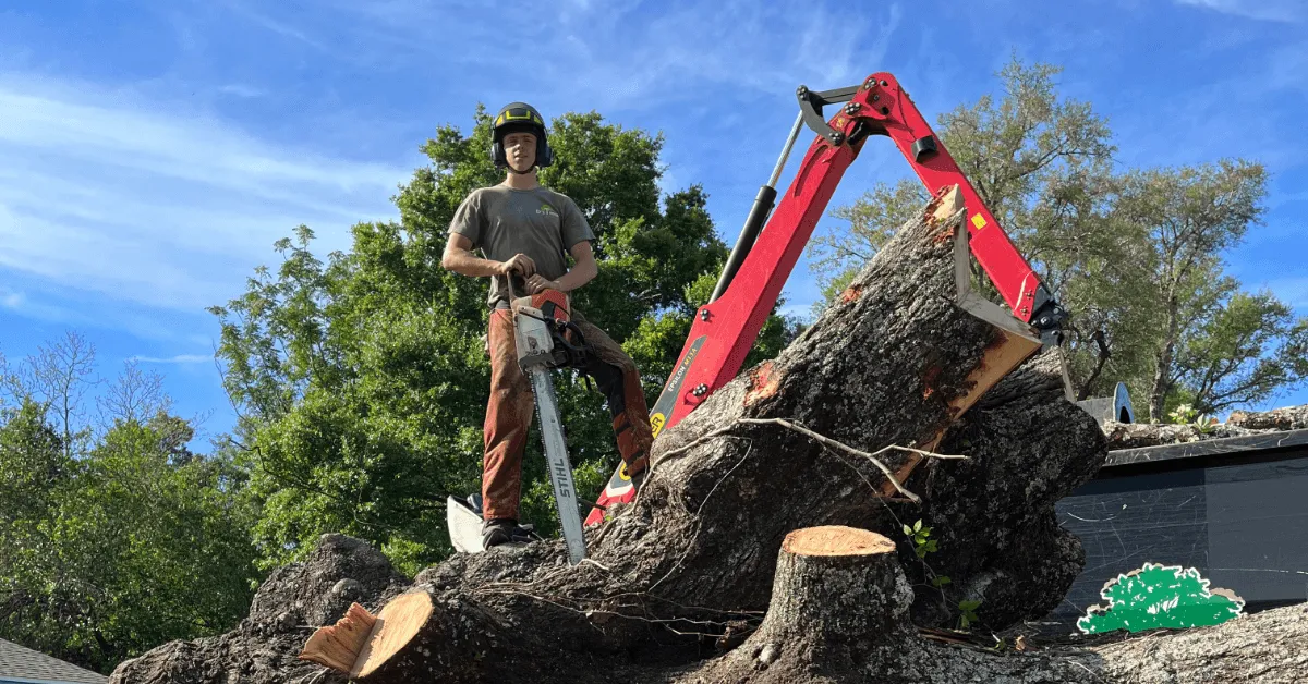 ISA-certified arborist performing tree removal in Milton, FL using safety gear and Aerial Lift