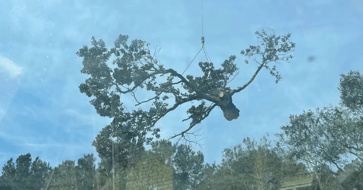 Tree service in Navarre FL removing storm-damaged tree using safe crane equipment and ground mats