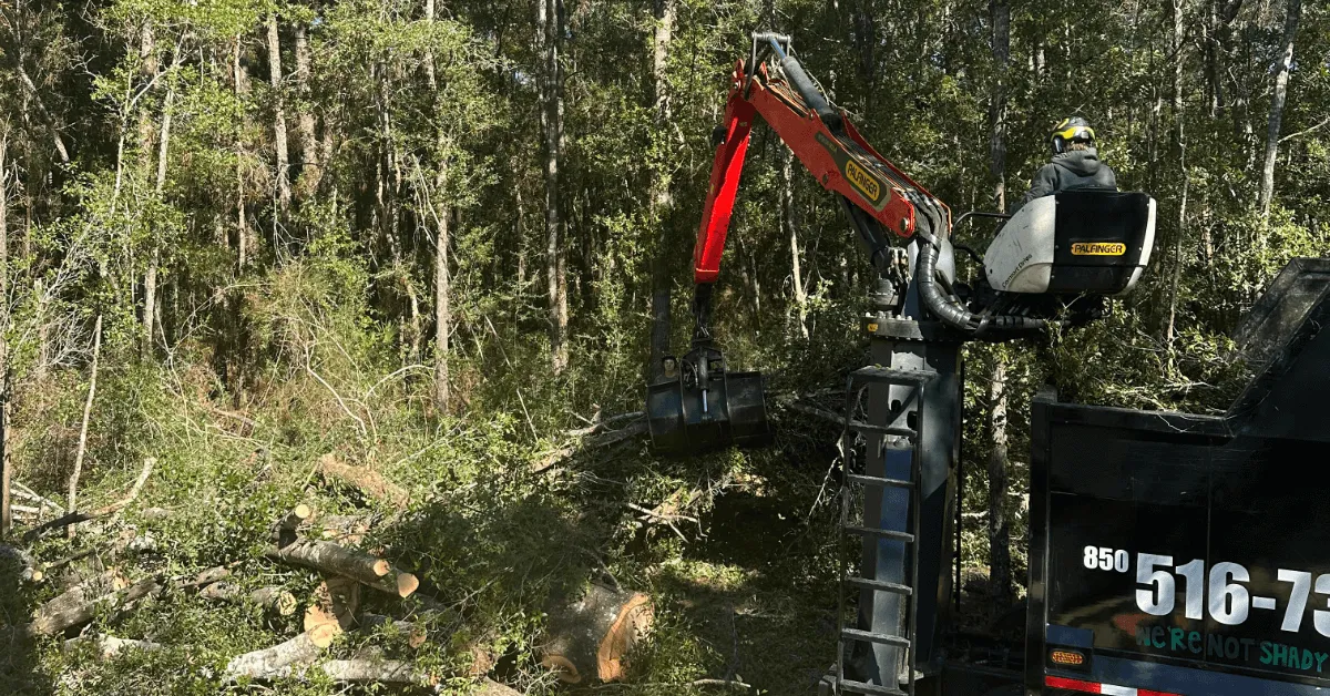 Tree crew safely removing storm-damaged tree from a Cantonment, FL backyard using crane equipment