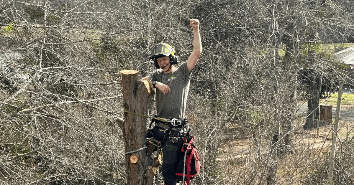 When to Call a Certified Arborist in Pace, FL