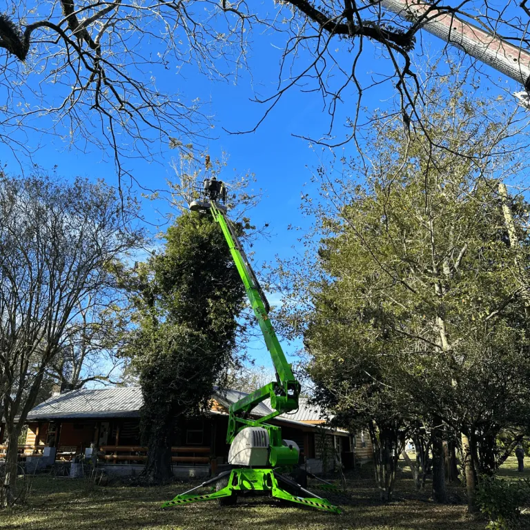 Stump grinding service in Pace backyard