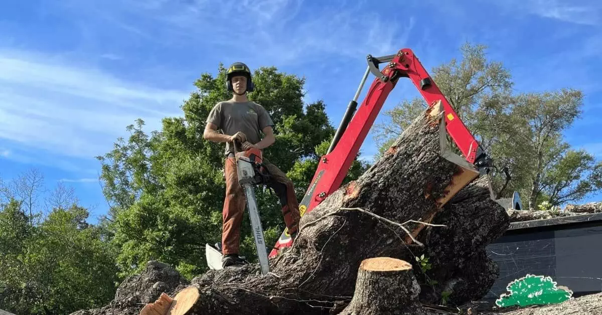 Tree Removal Pace, FL – Certified Arborists & Emergency Service