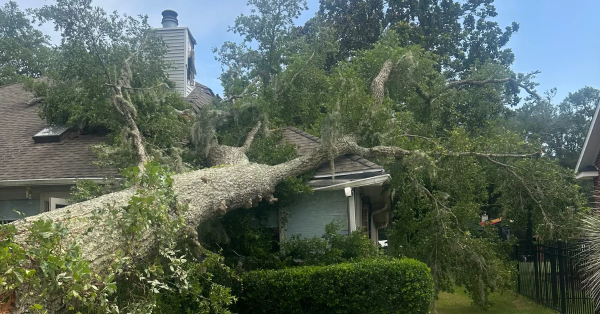 24/7 Emergency Tree Service
