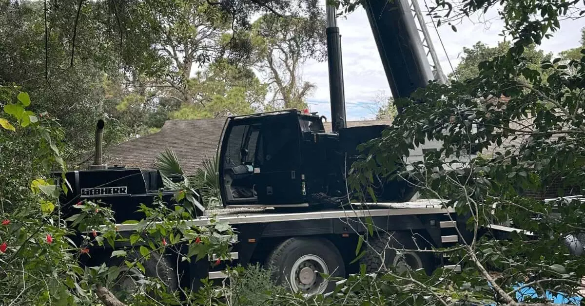 Tree Service Pace, FL – Licensed Arborists for Safe Tree Care