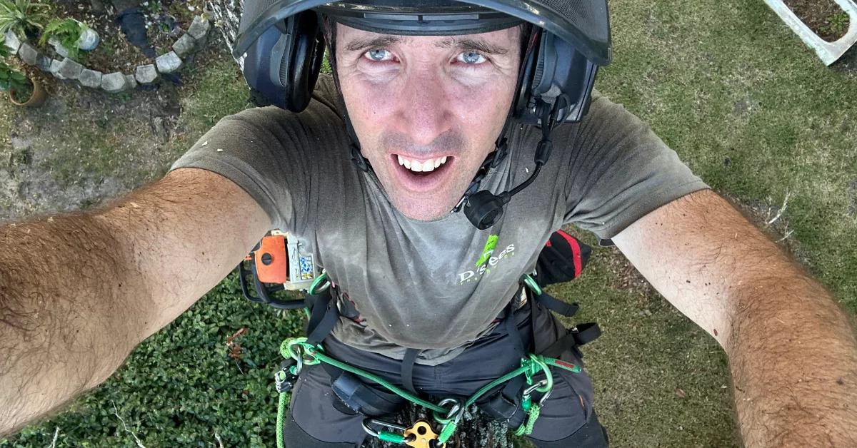 Arborist Service or Consultation