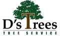 D's Trees Logo