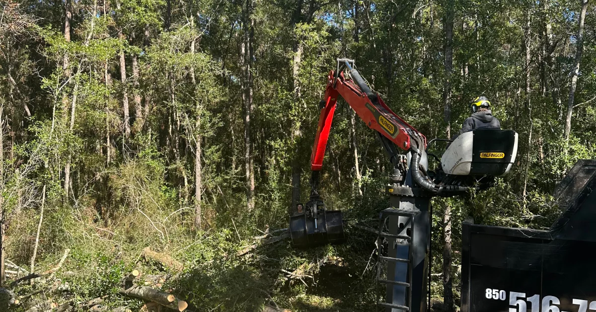 Lot or Land Clearing