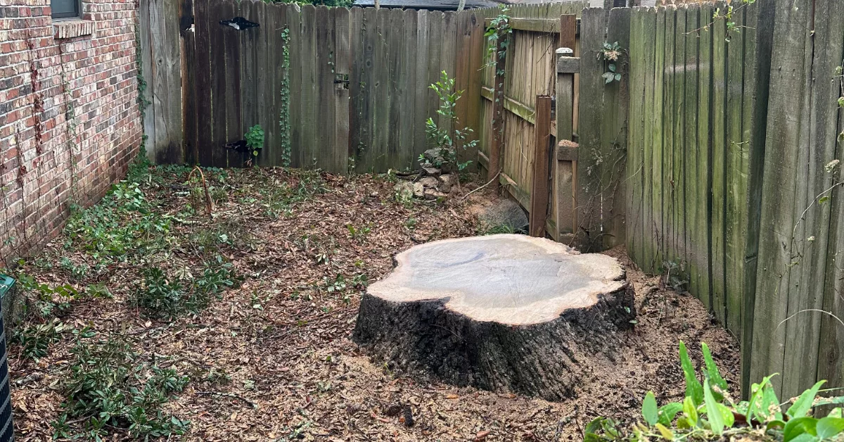 Stump Removal Grinding