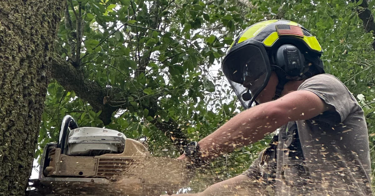 Tree Removal