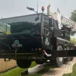 Tree Service Near Me
