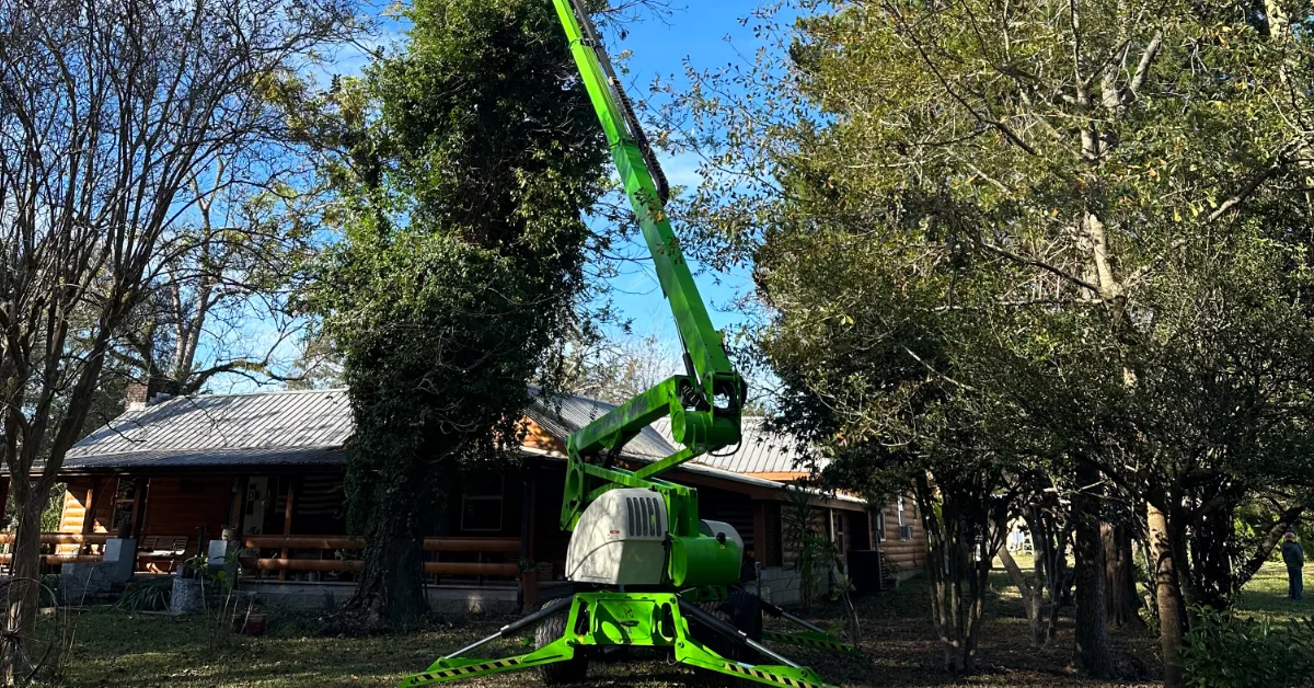 Tree Trimming Pruning