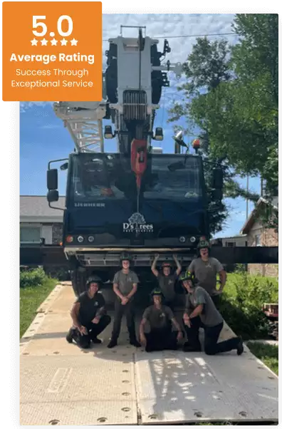 Commercial Tree Service