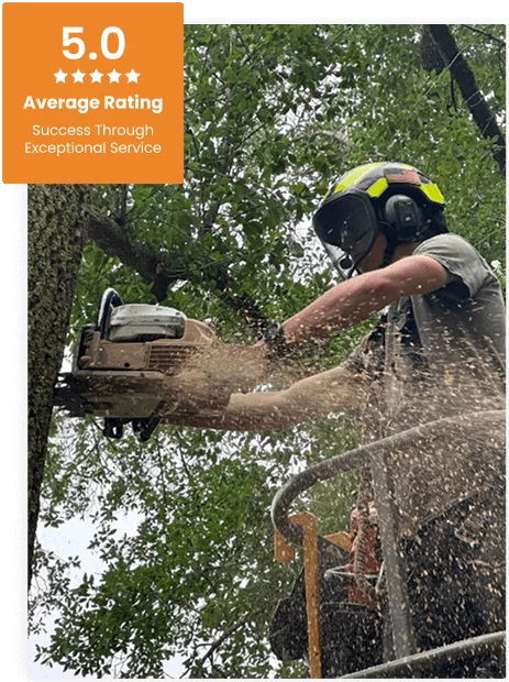 Commercial Tree Service