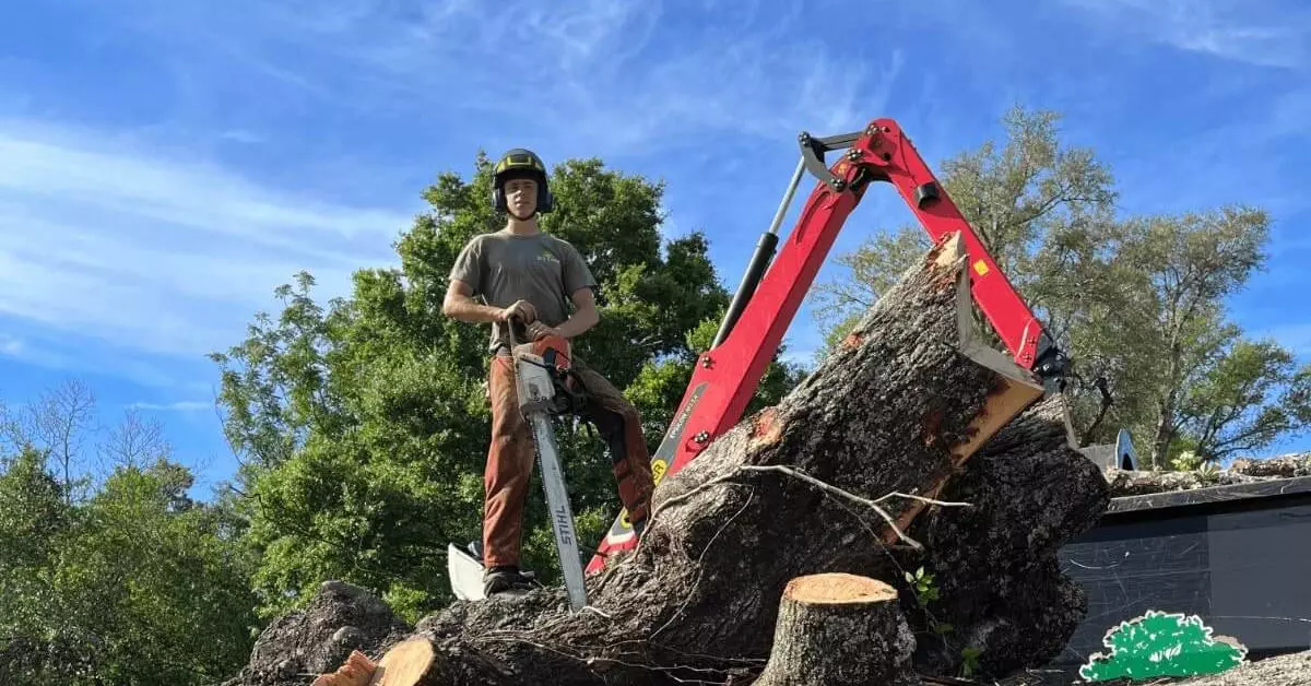 emergency tree service in Pensacola, FL