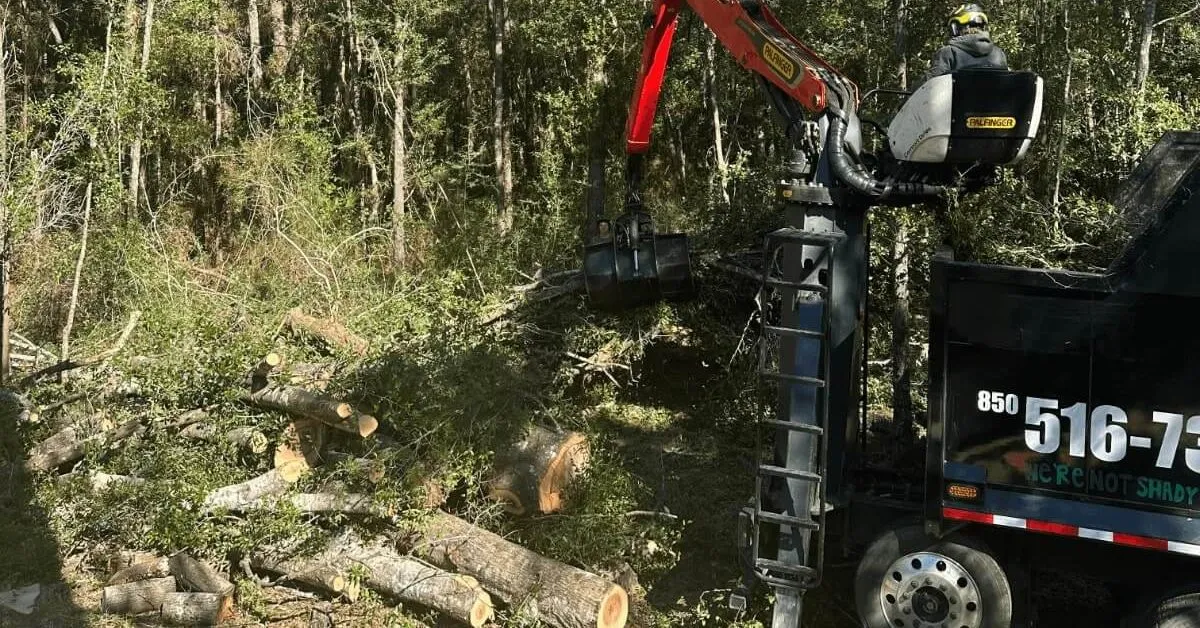 tree removal in Pensacola, FL