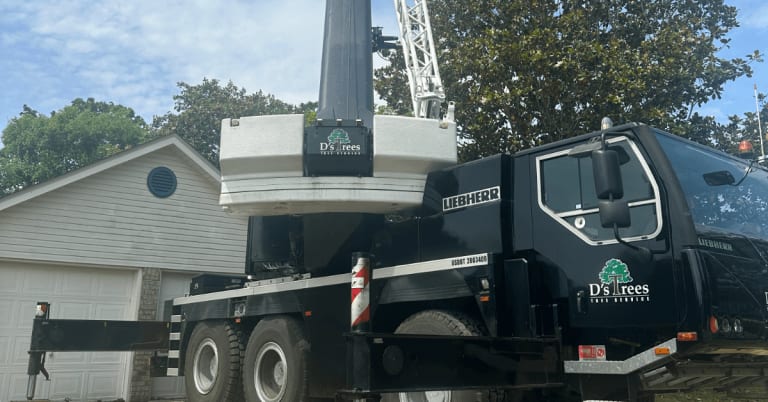 crane tree service Gulf Breeze FL