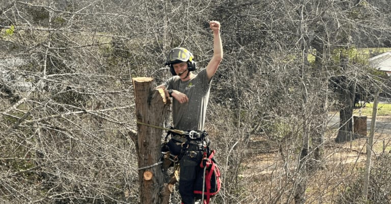 When to Call a Certified Arborist in Pace, FL
