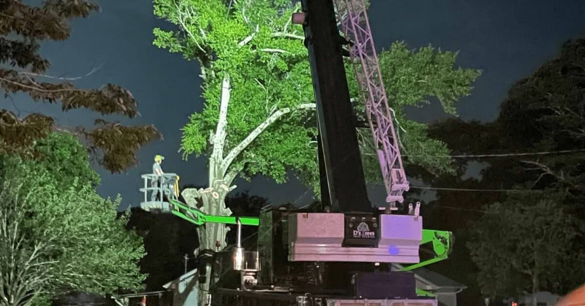 Emergency Tree Removal Pace, FL – 24/7 Service for Storm-Damaged Trees