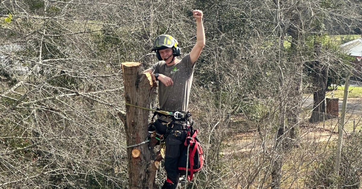 Affordable Tree Service