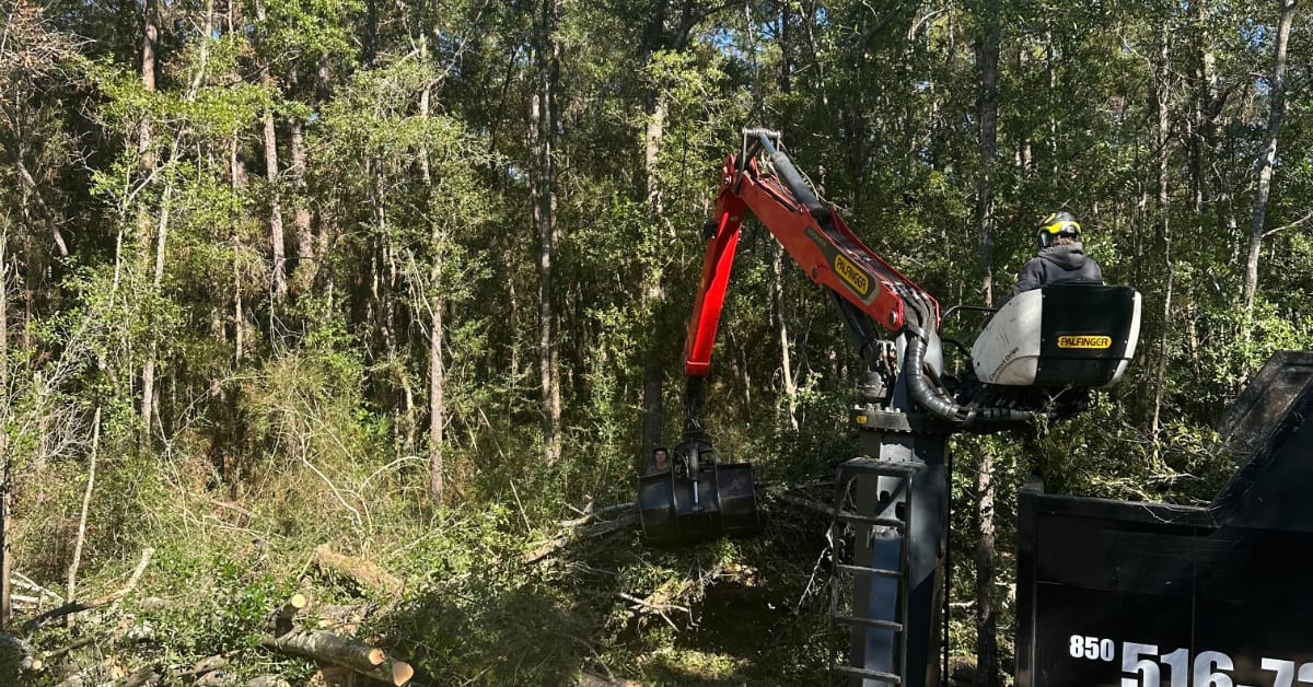 Lot or Land Clearing
