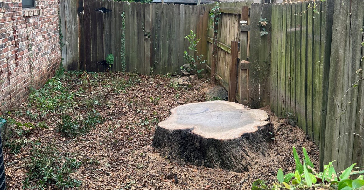 Stump Removal Grinding
