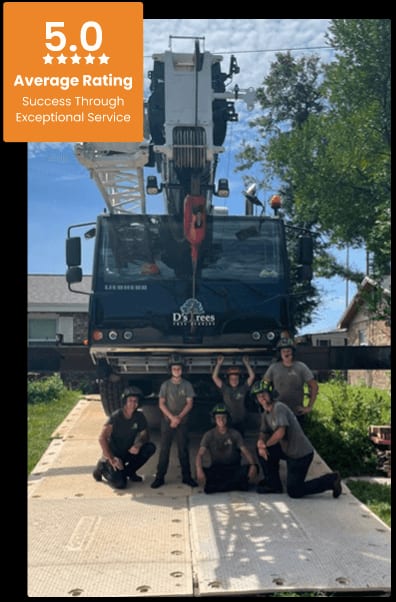 Commercial Tree Service