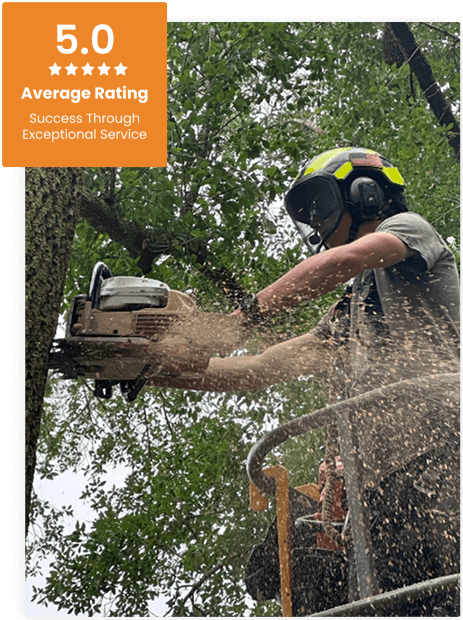 Commercial Tree Service
