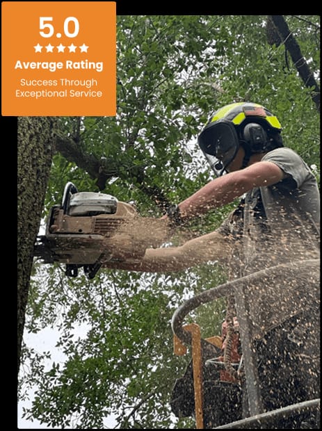 Commercial Tree Service