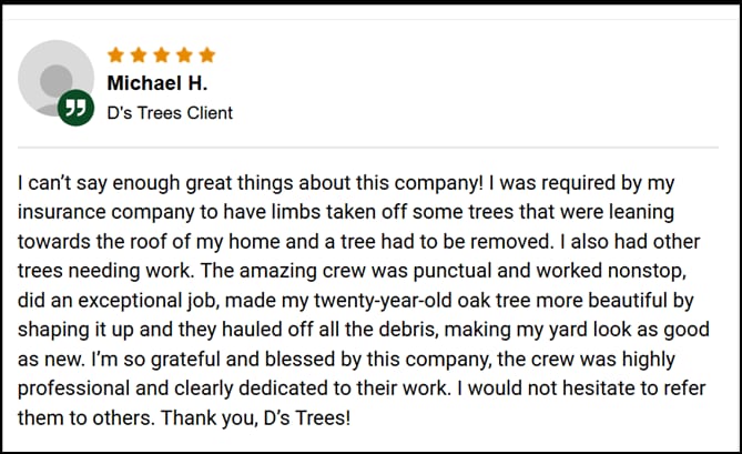 case study review d's trees